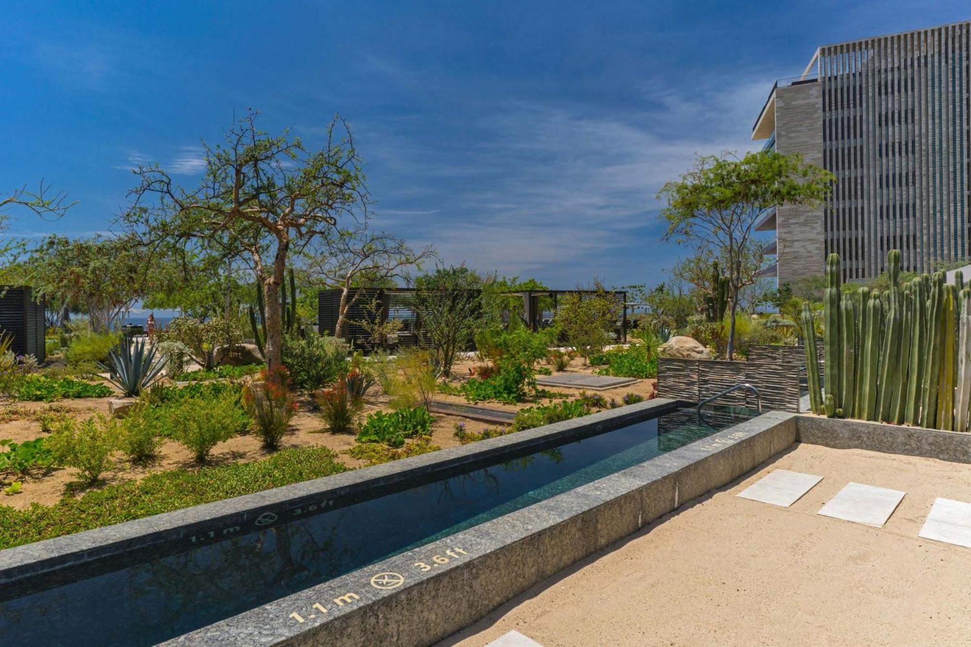 Solaz, A Luxury Collection Resort, Los Cabos San José del Cabo Zewnętrze zdjęcie